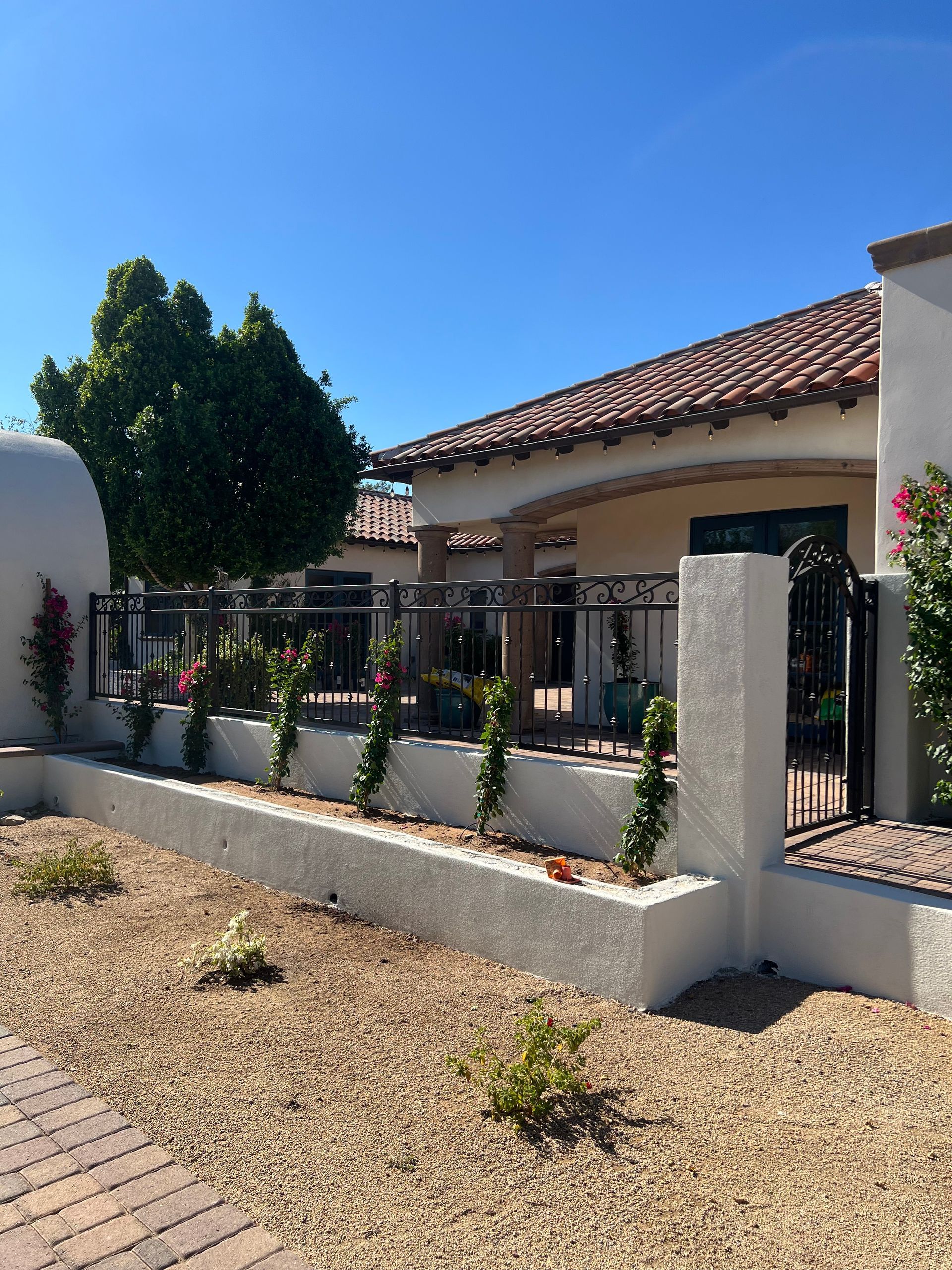 Single-story house with terracotta roof, black gate, and white planter wall in a sunny desert yard.
