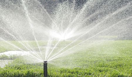 Sprinkler spraying water over a sunlit green lawn