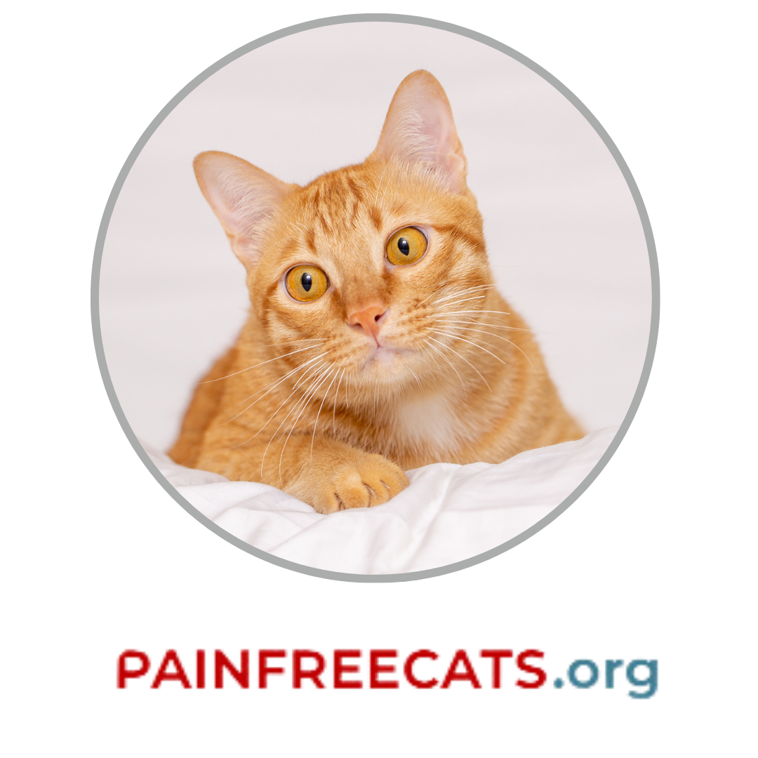 pain-in-animals-checklist