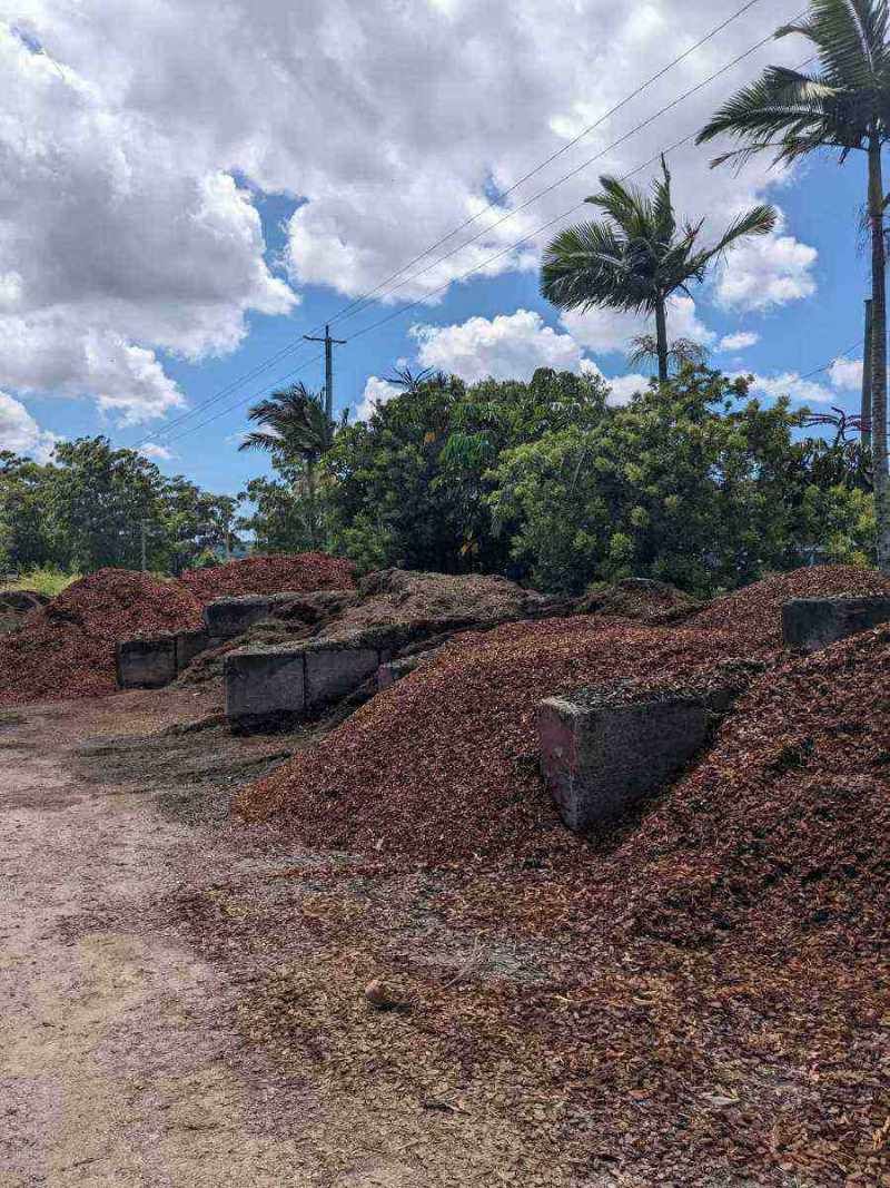A Pile Of Mulch Is Sitting On The Side Of A Dirt Road Next To A Palm Tree — T&G Sand and Gravel In Caloundra, QLD