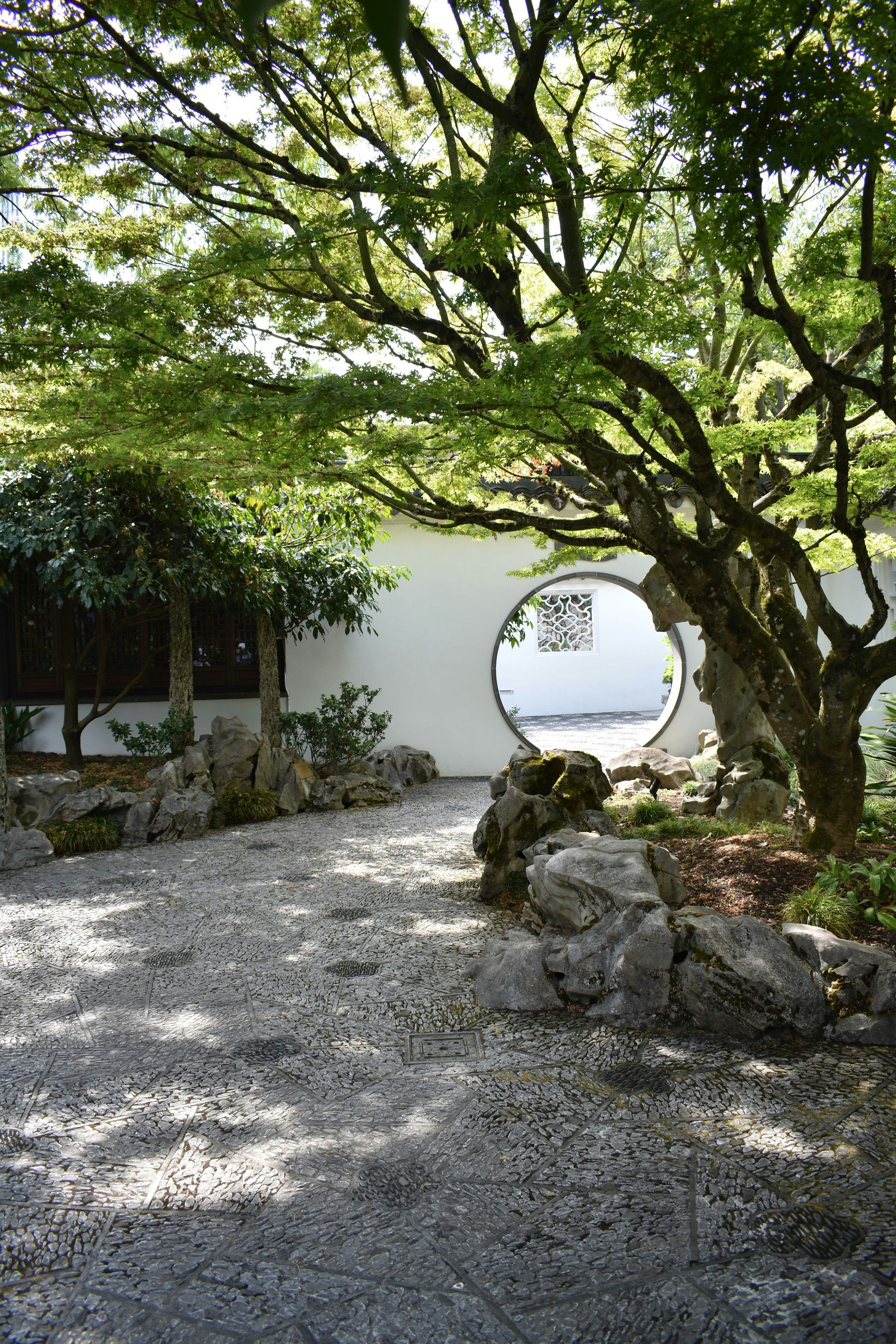 Courtyard with gravel path, leafy tree, rocks, and circular opening in a white wall overlooking water