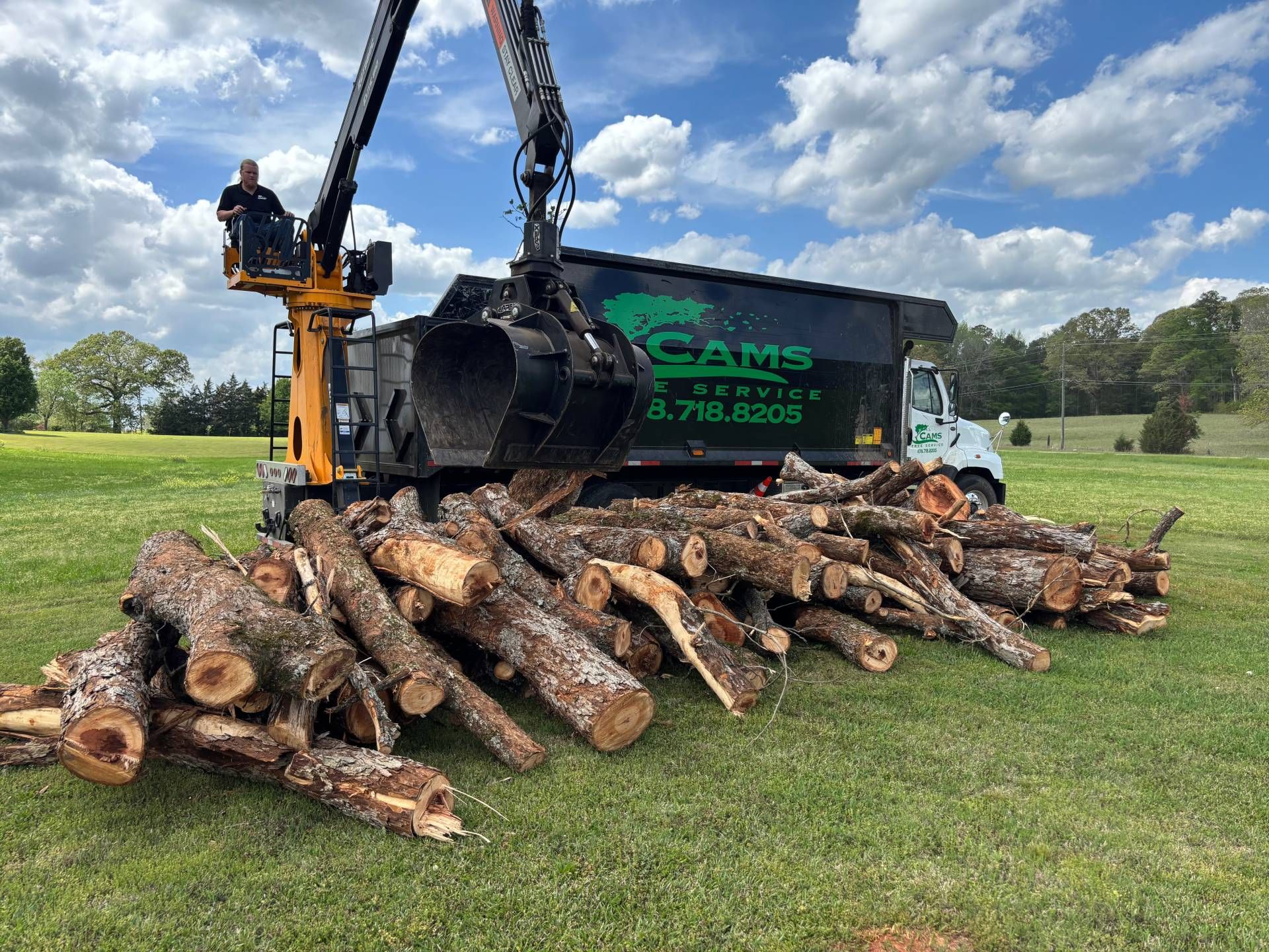 Homestead Tree Service Professional Tree Service | Cams Tree Service