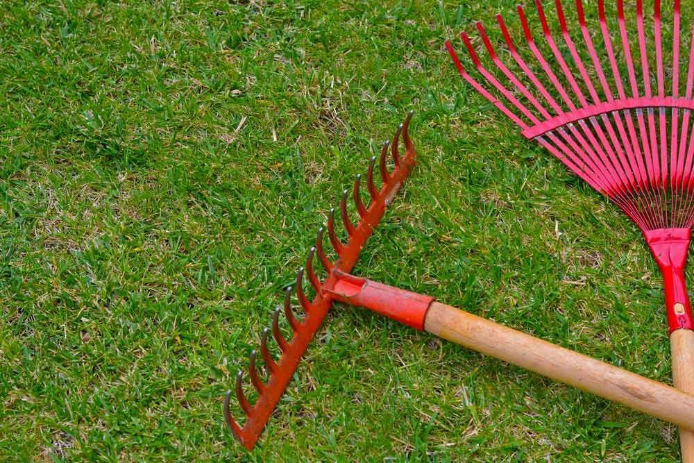Two Rakes Are Sitting On Top Of A Lush Green Lawn — Dillon Rural In Cundletown, NSW