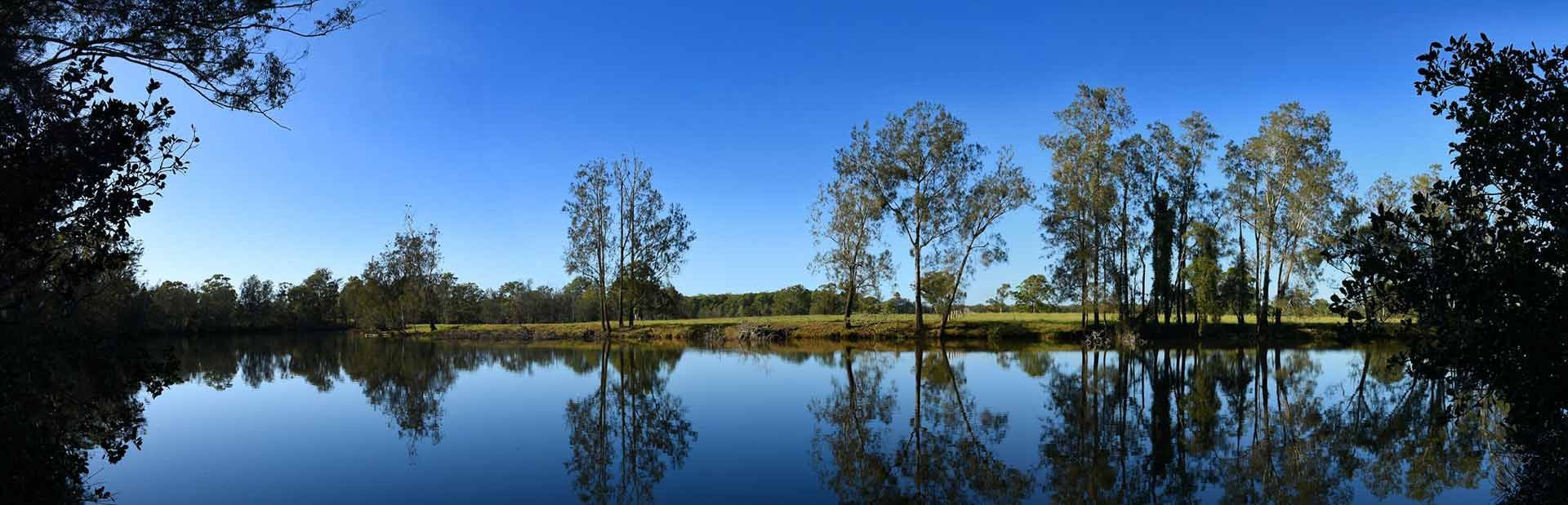 A Lake With Trees On The Shore And Trees Reflected In The Water — Dillon Rural In Nabiac, NSW