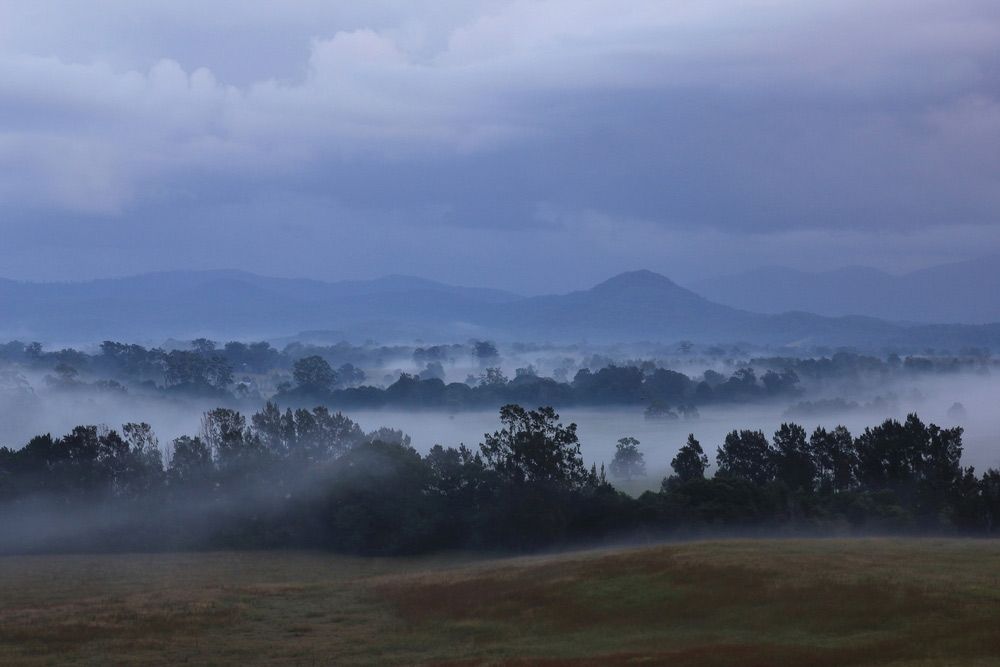 A Foggy Landscape With Trees And Mountains In The Background — Dillon Rural In Wauchope, NSW
