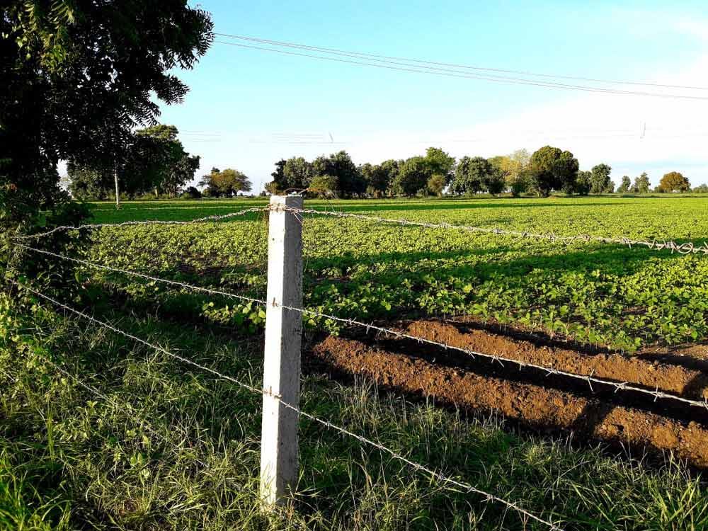 A Barbed Wire Fence Surrounds A Lush Green Field — Dillon Rural In Cundletown, NSW