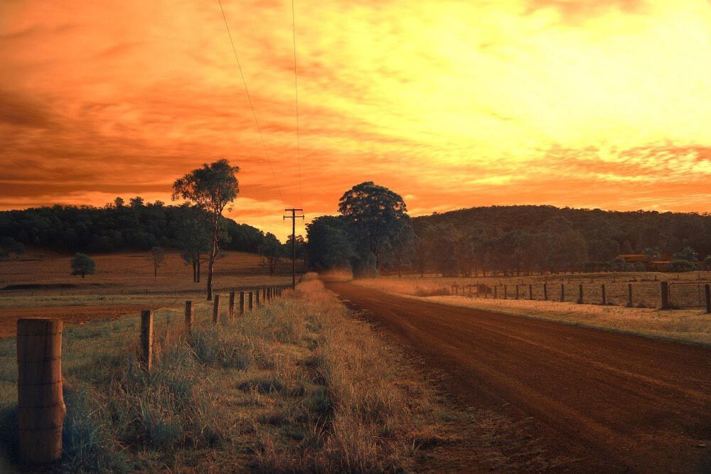A Dirt Road Going Through A Field At Sunset — Dillon Rural In Nabiac, NSW