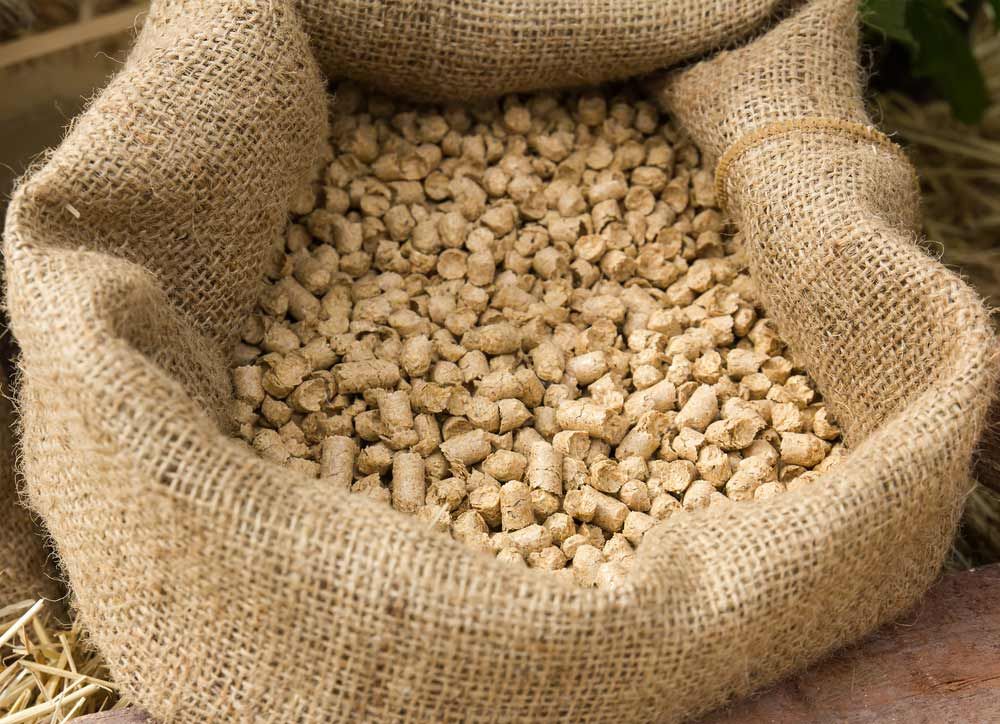A Bag Of Beans Is Sitting On Top Of A Pile Of Hay — Dillon Rural In Cundletown, NSW