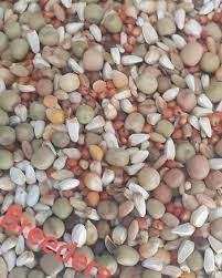 Pigeon Mix Grain