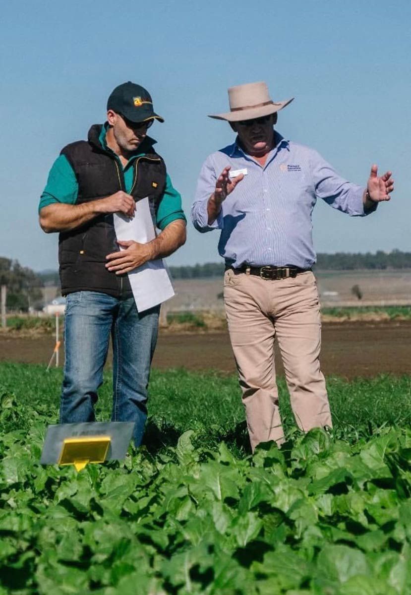 Two Men Are Standing In A Field Looking At Plants — Dillon Rural In Cundletown, NSW