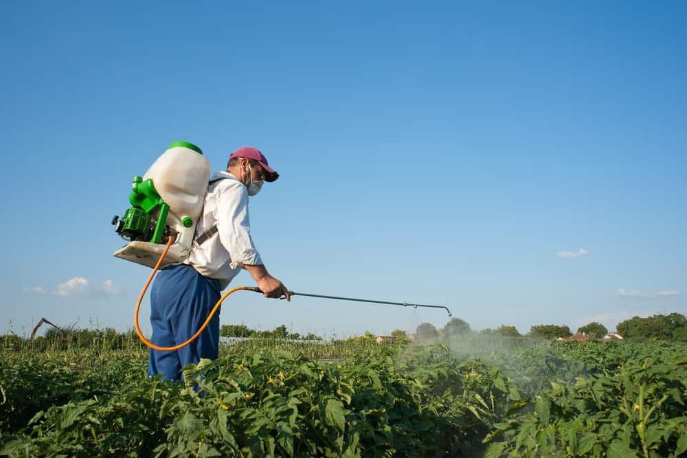 A Man Is Spraying Plants In A Field With A Backpack Sprayer — Dillon Rural In Cundletown, NSW