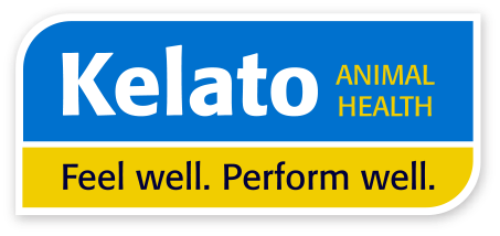Kelto