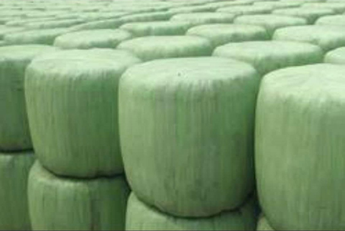 Silage Wrap And Netting