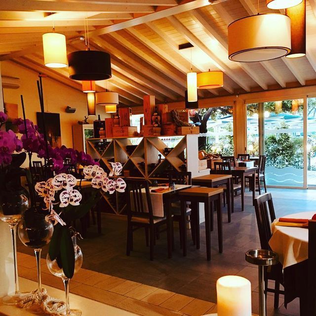 Un ristorante con tavoli e sedie e fiori viola