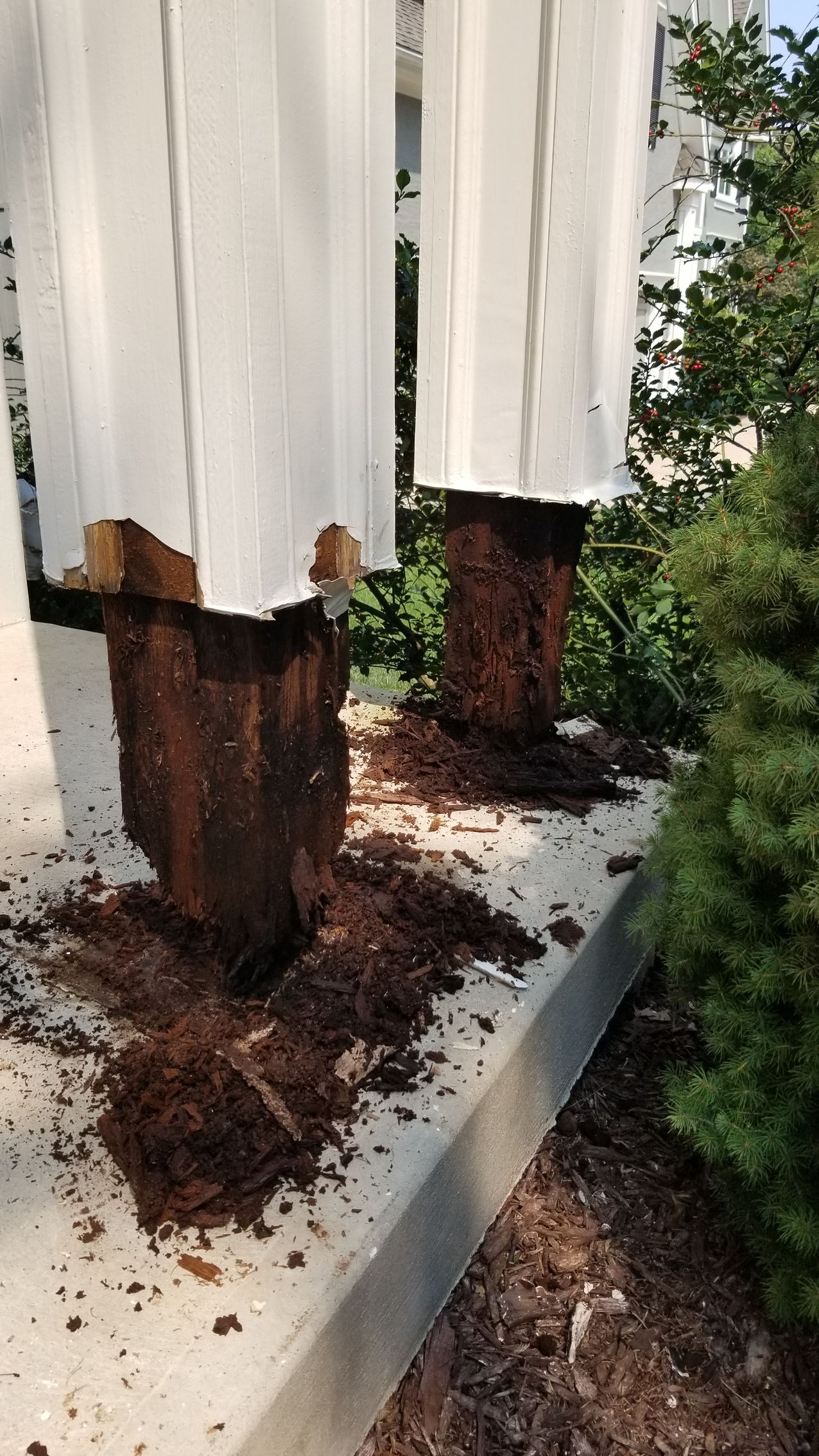 Expert Wood Rot Repairs in Kansas City Protect Your Home’s Structure