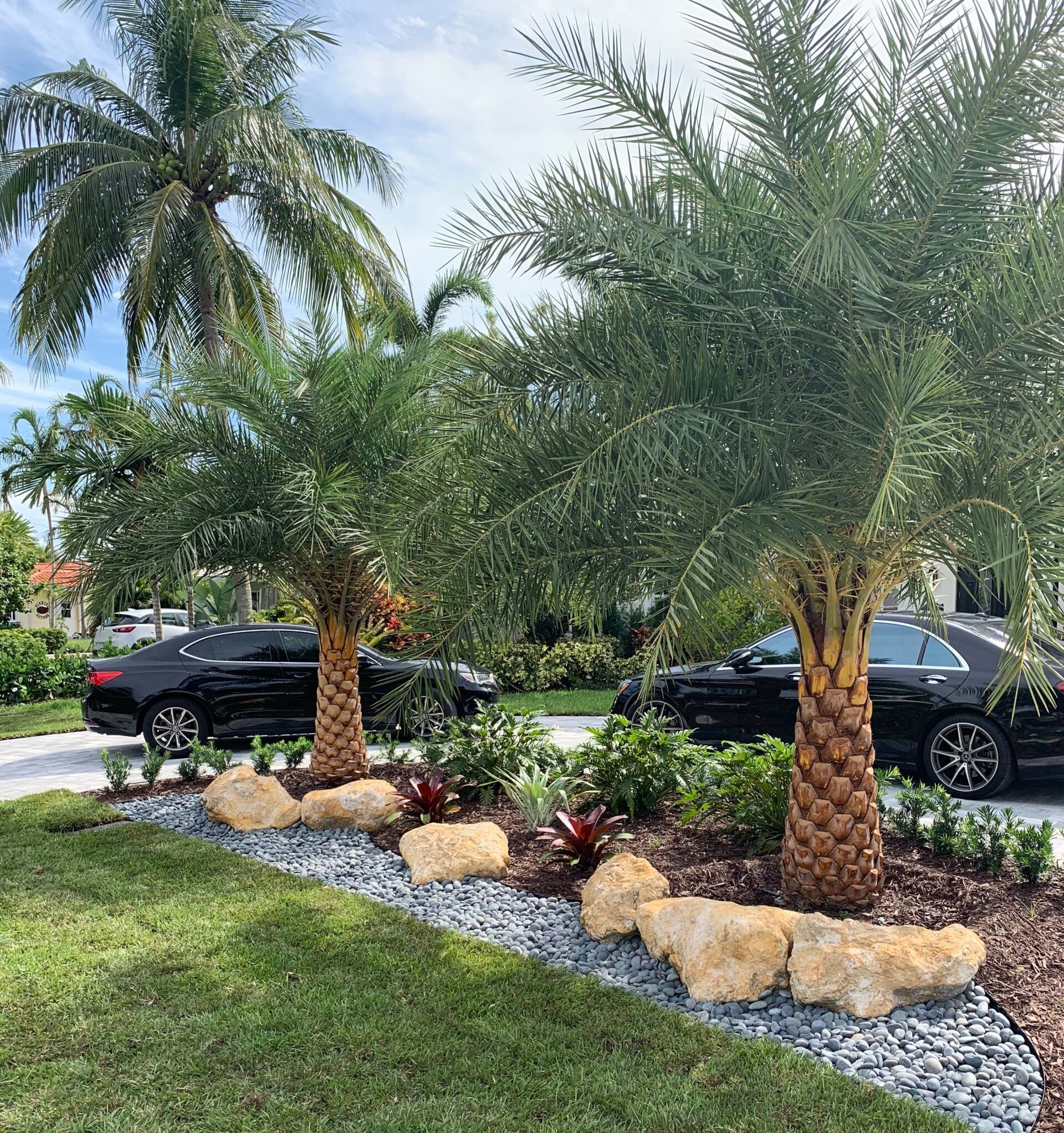tree installer in palm beach county