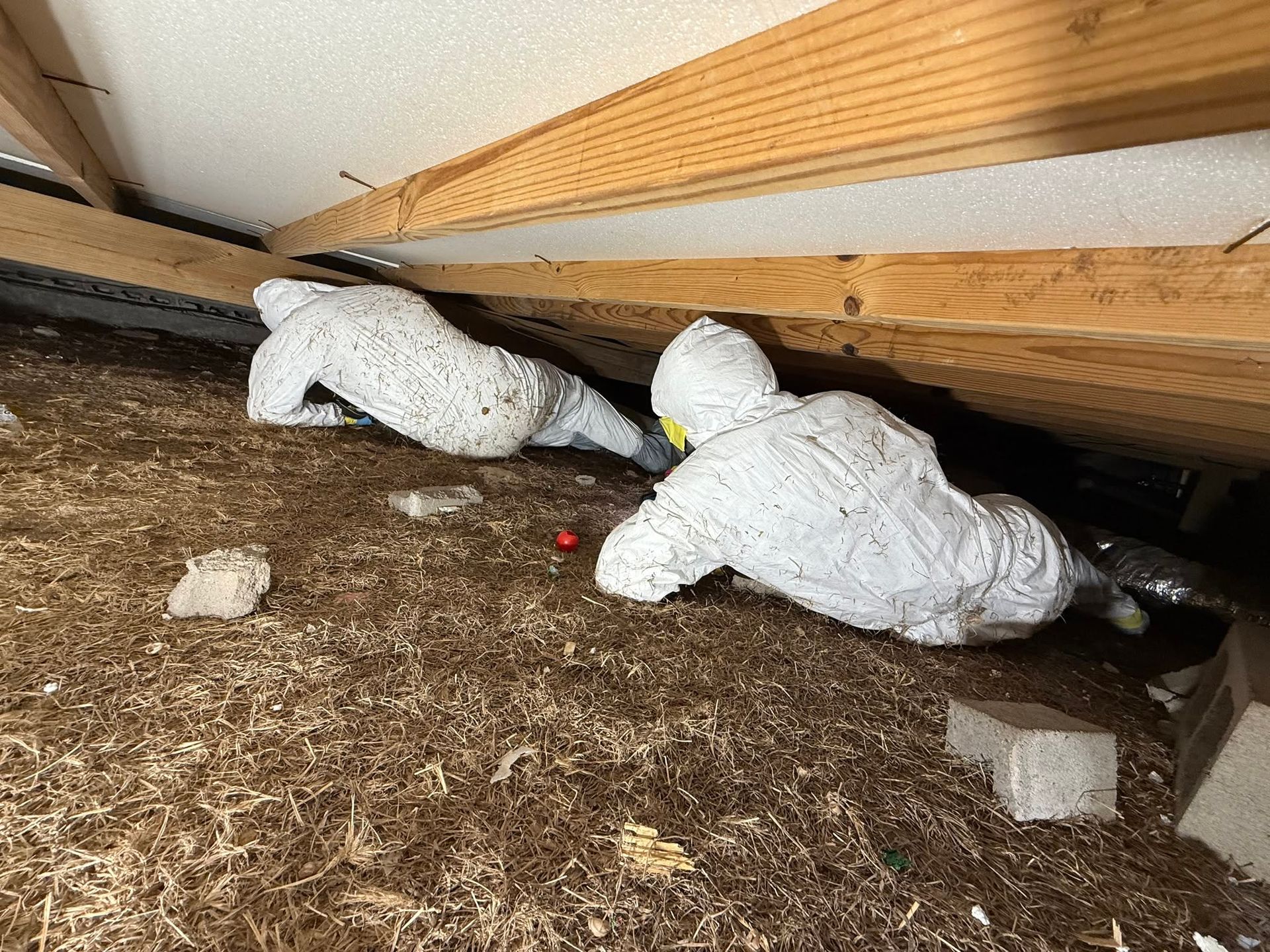 Two white stuffed bears lying on a carpeted floor under a slanted wooden beam