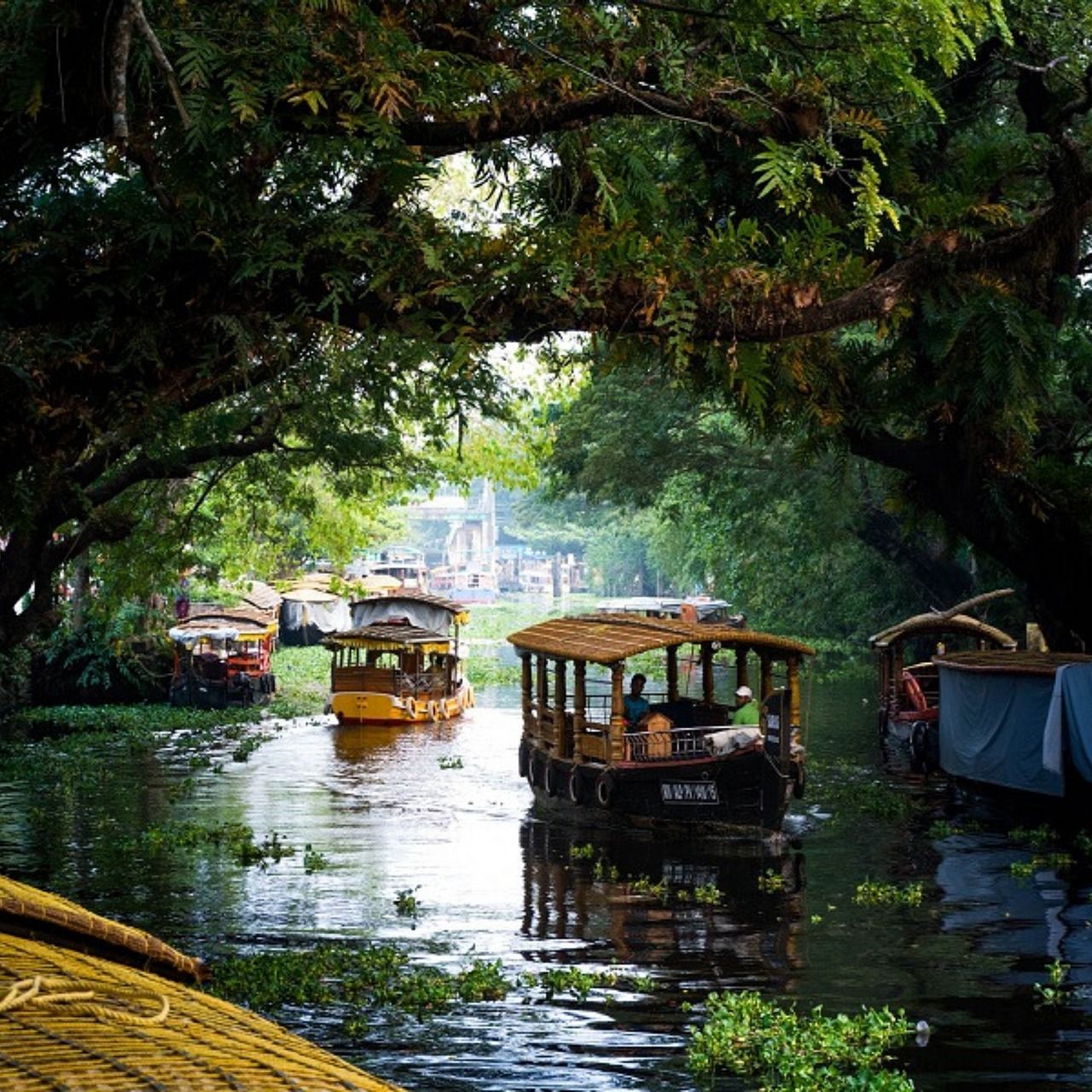 Kerala God's Own Country Tour | Travel Hub