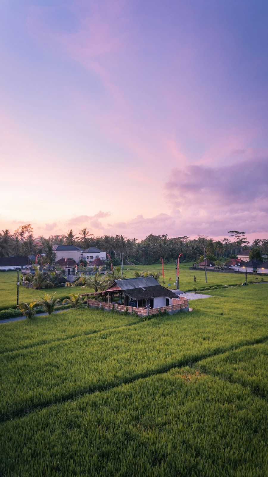 Exotic Bali Tour Package | Travel Hub
