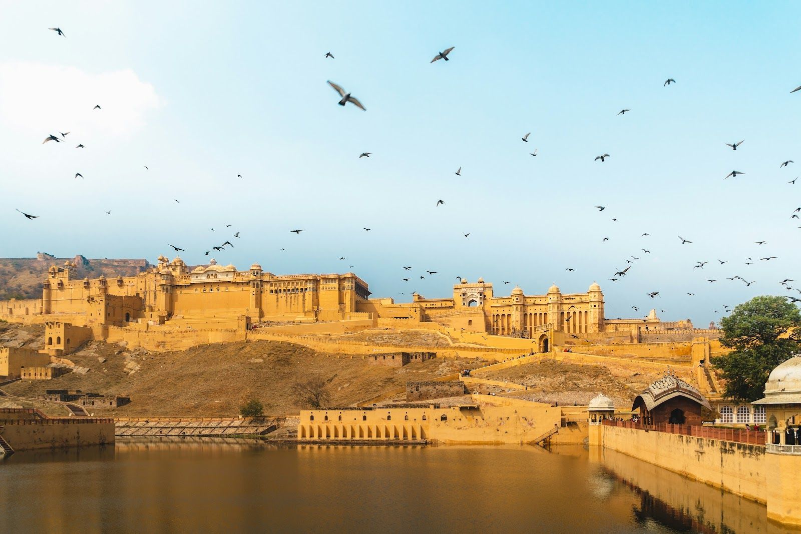 Indian Golden Triangle Tour Package | Travel Hub