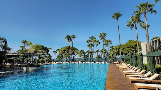 Acanthus Cennet Barut