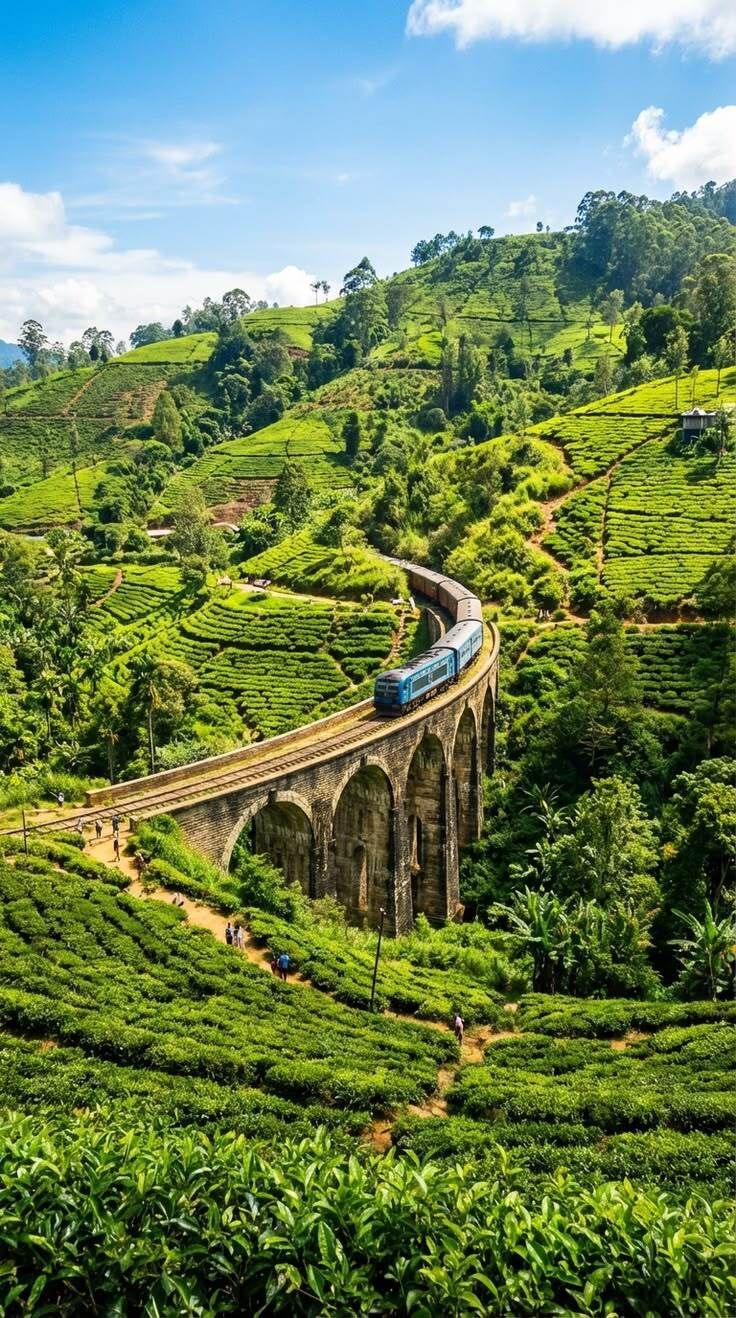 Train crossing a lush green hillside on a stone viaduct, winding through terraced tea fields.