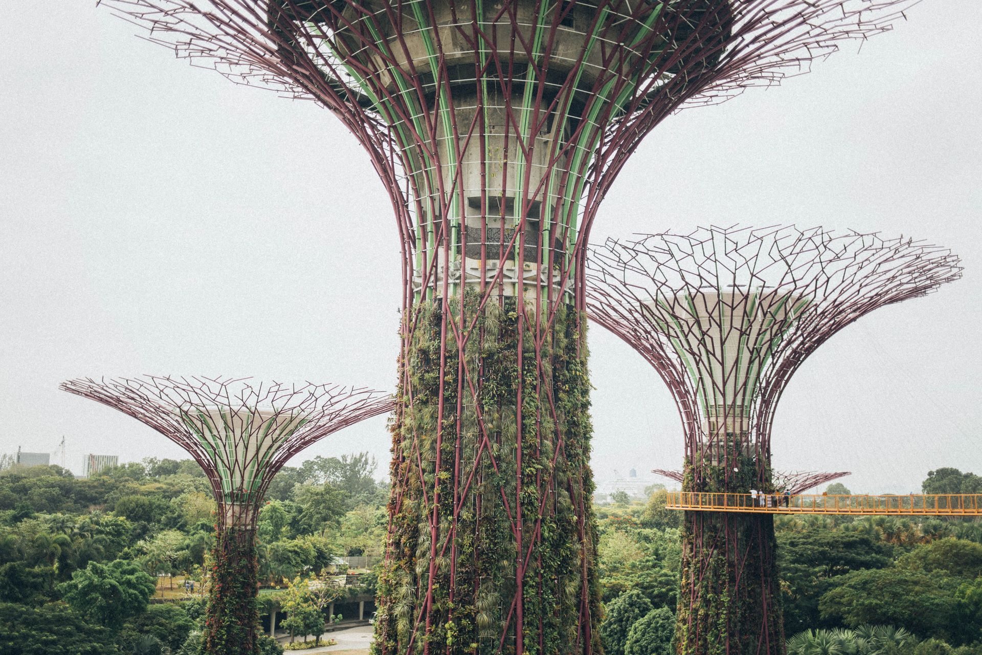 Three towering tree-like gardens with woven canopies rise above lush green forest.
