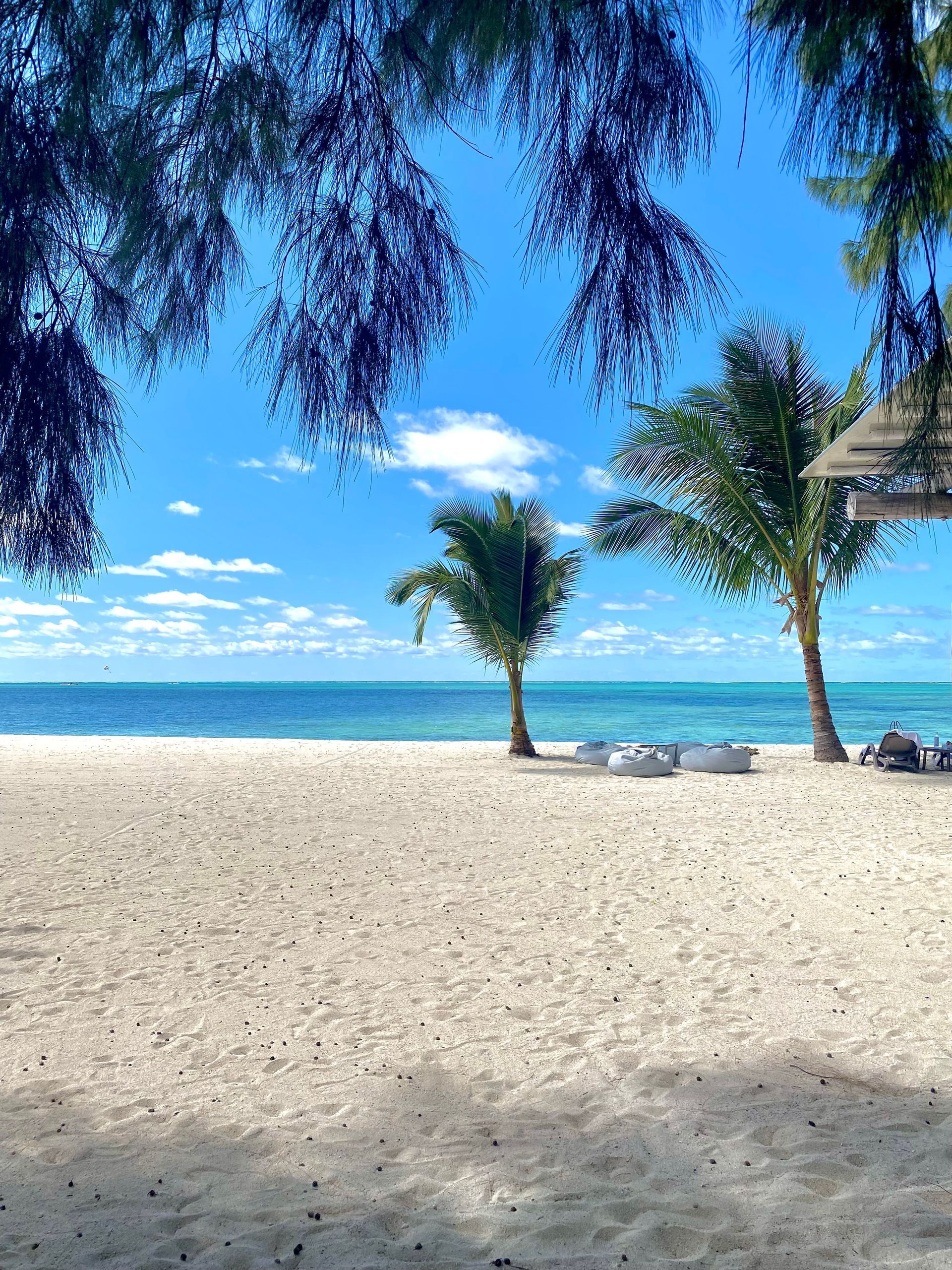 Sunny beach with white sand, blue sky, palm trees, and lounge chairs by the ocean