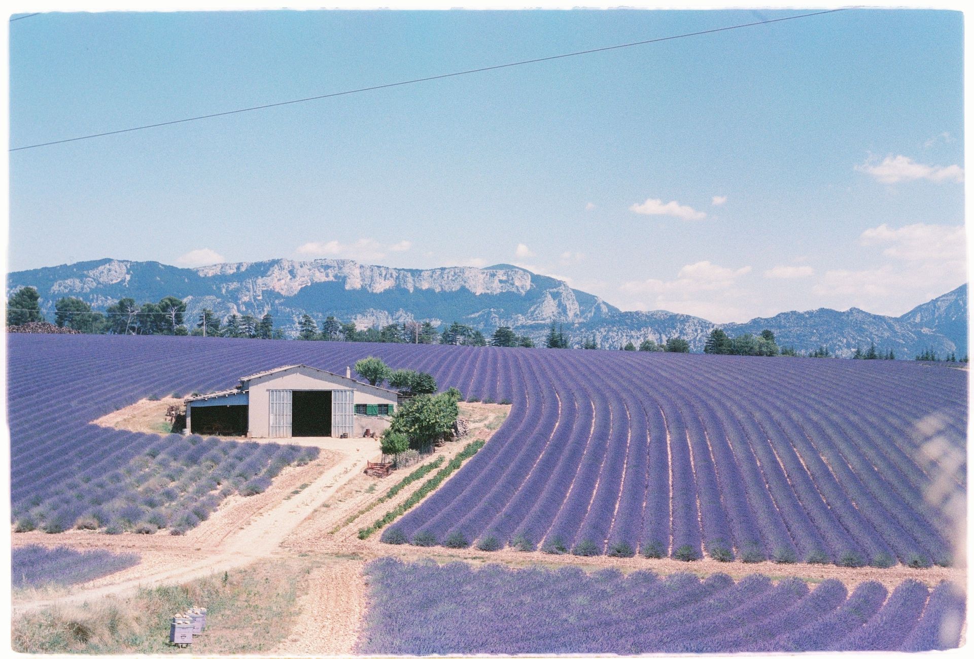 Lavender fields / Provence village