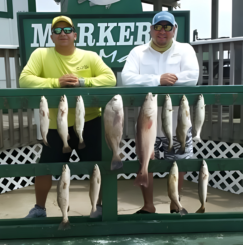 Trout, Drum, Redfish Caught