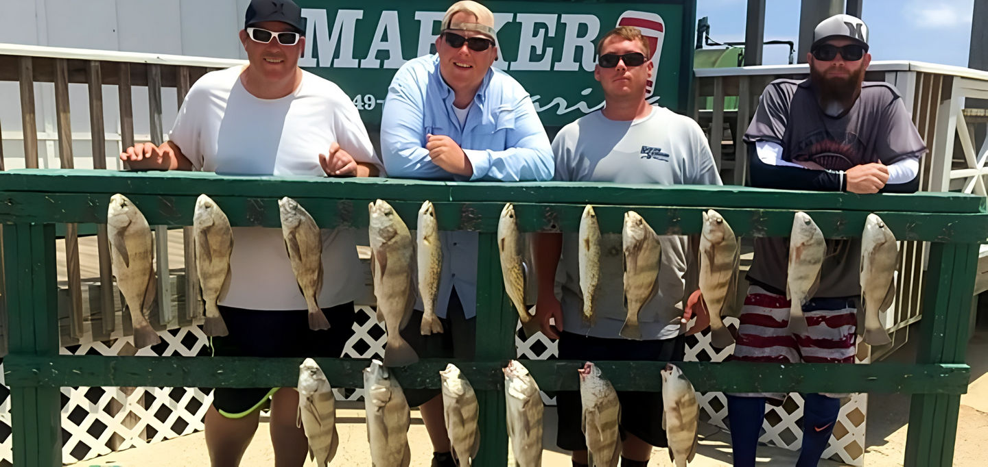 drum caught fishing charter