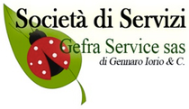 GEFRA SERVICE LOGO