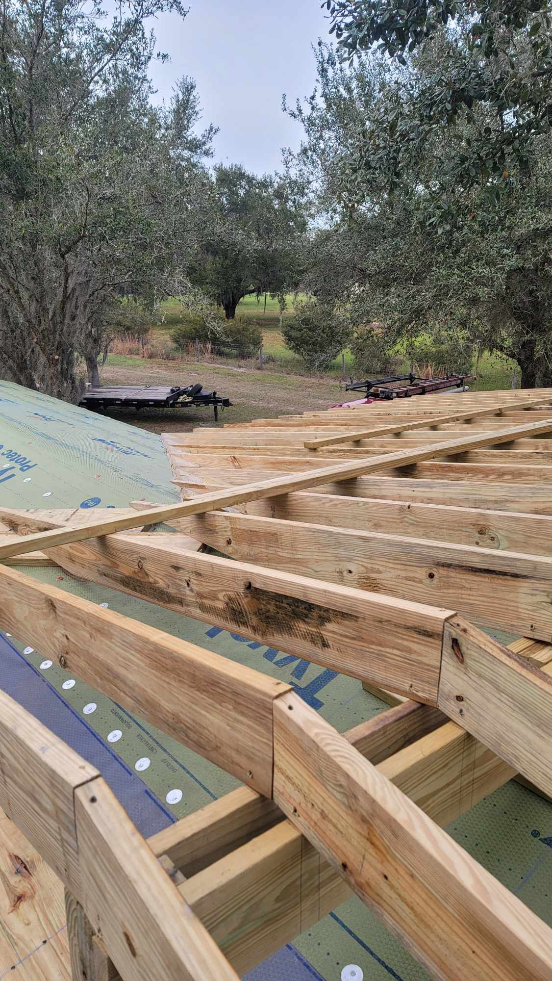 Wooden roof framing under construction outdoors with trees in the background