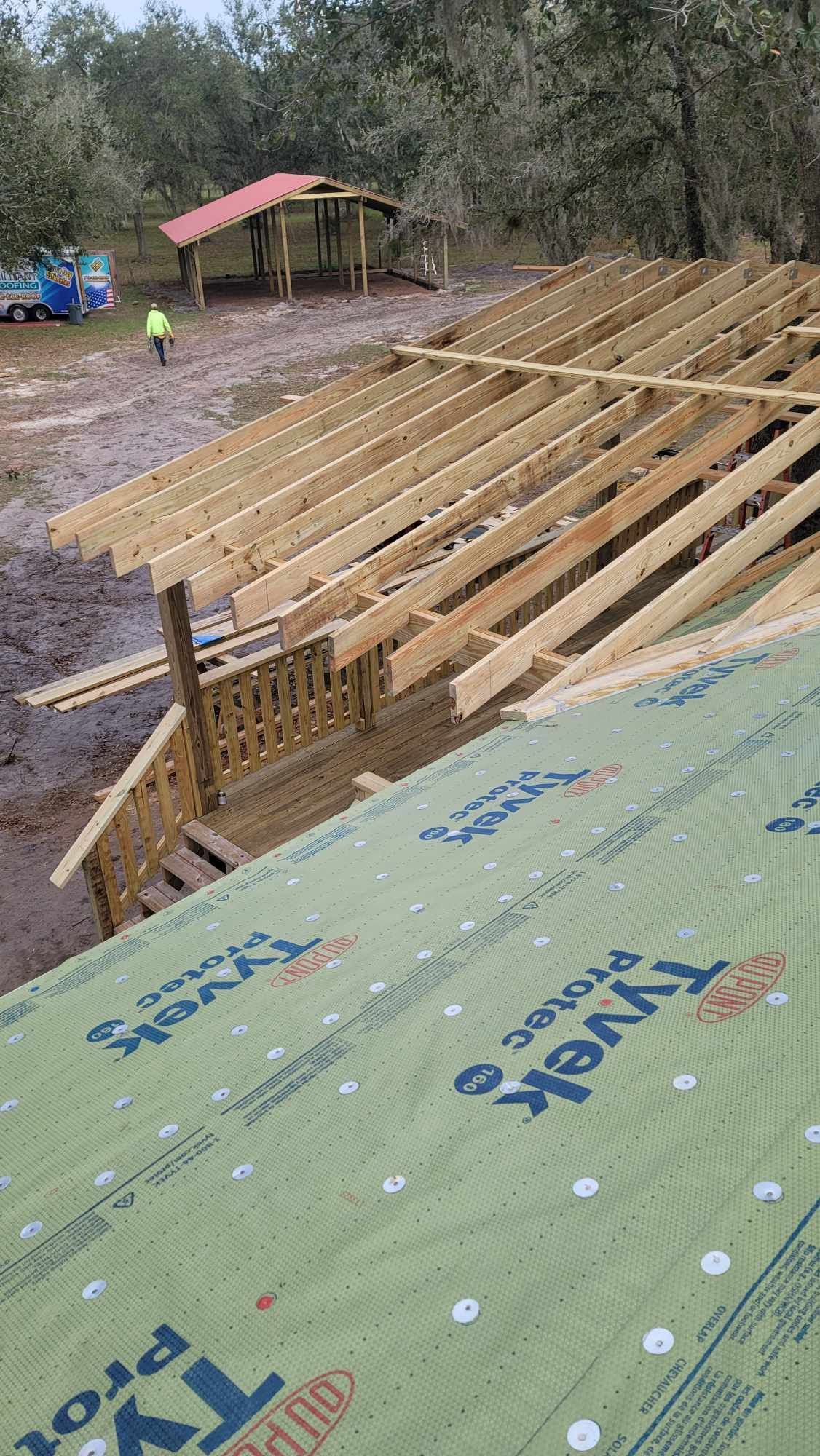 Wood-framed roof under construction beside a wooded area, with green roofing underlayment in the foreground.