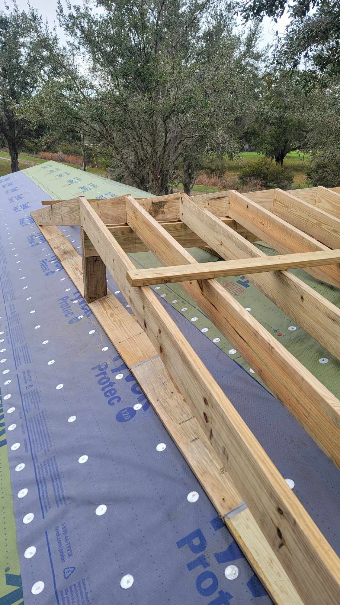Wood framing on a rooftop underlayment, with trees in the background.