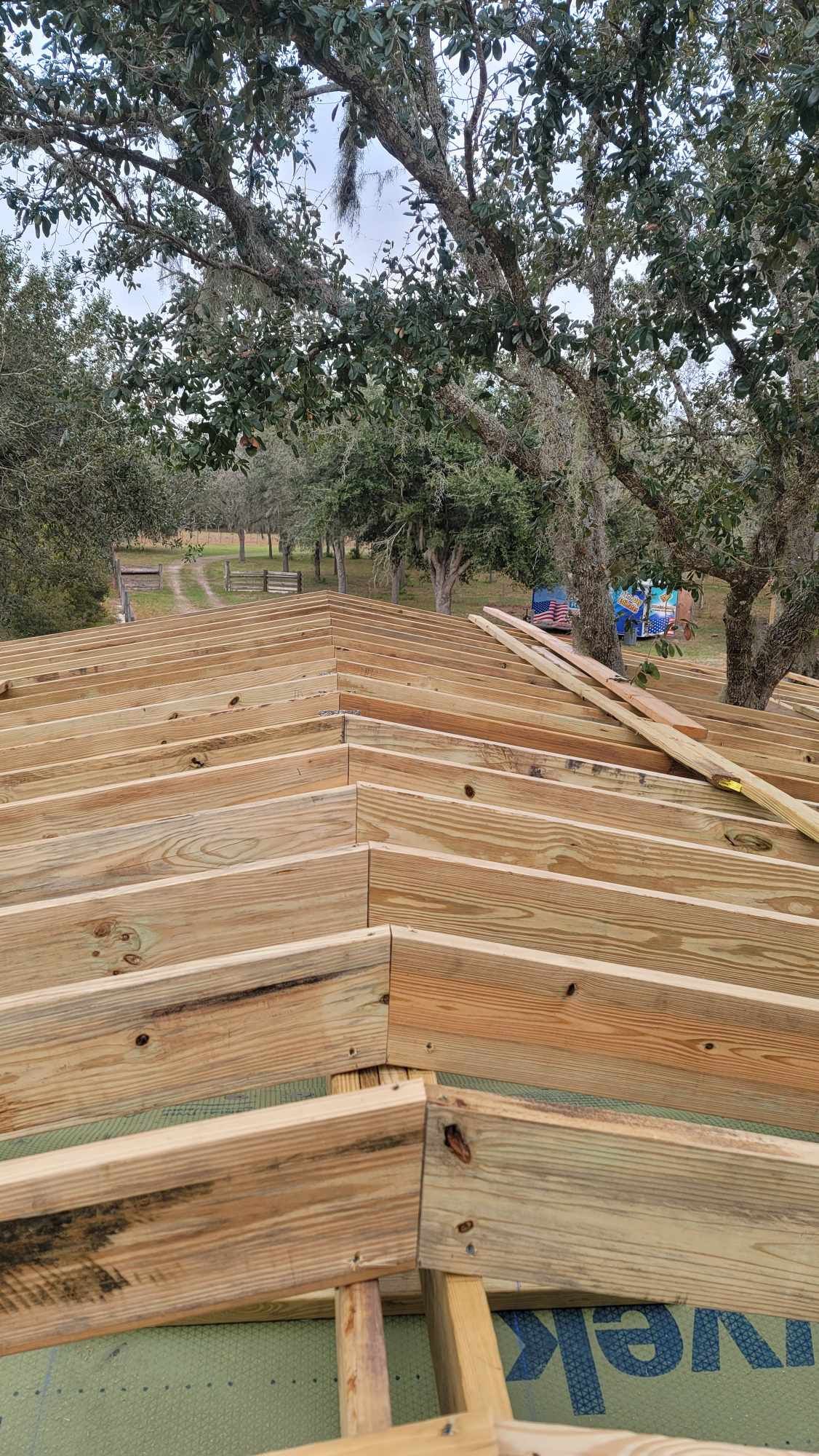 Rooftop framing under construction with wooden beams and planks beneath large trees