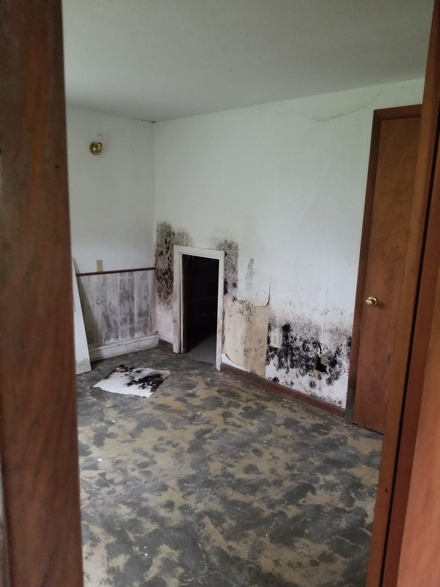 Empty room with peeling paint, water damage, and a deteriorated fireplace opening.