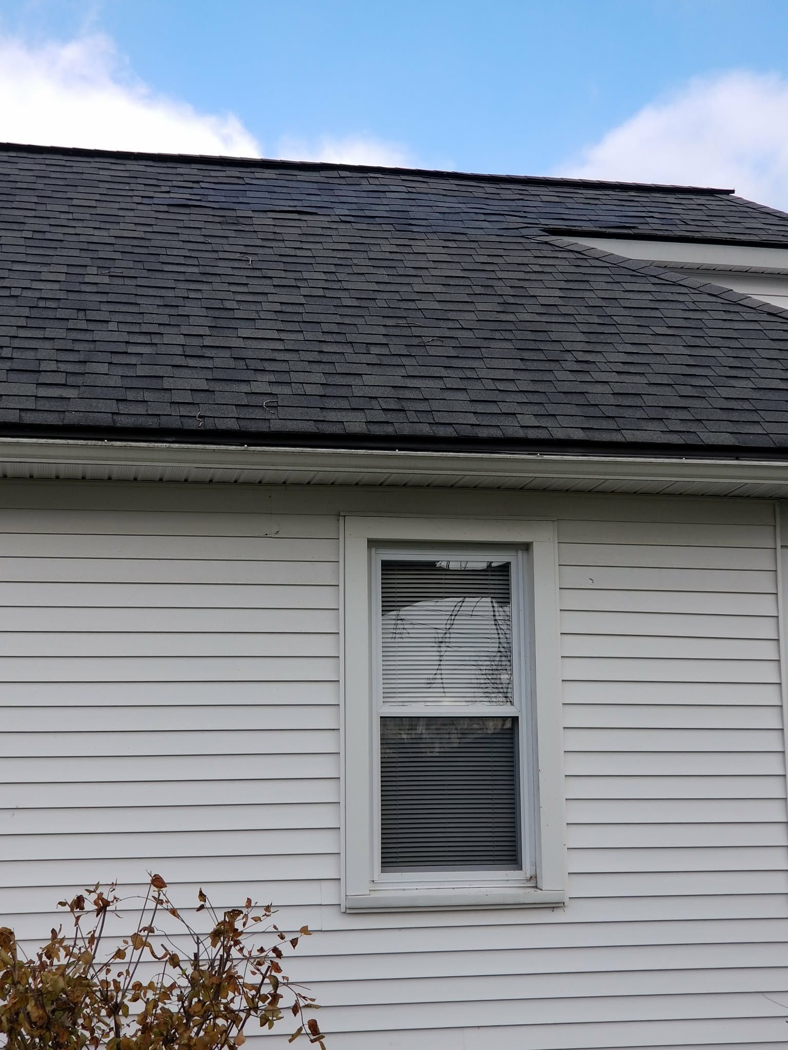 White house siding with a small window and dark shingled roof, partly covered by a bush below.