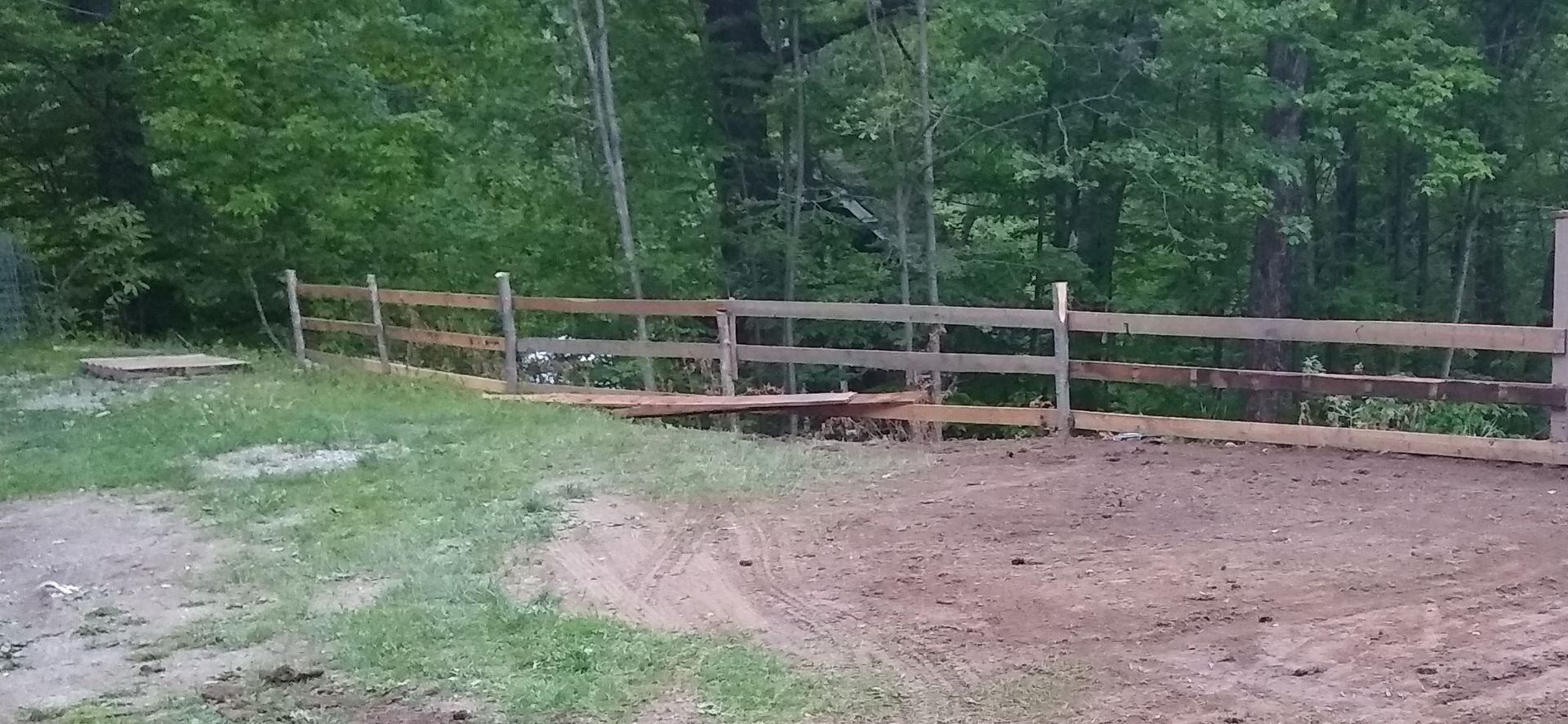 Wooden fence along a dirt path beside a wooded forest clearing