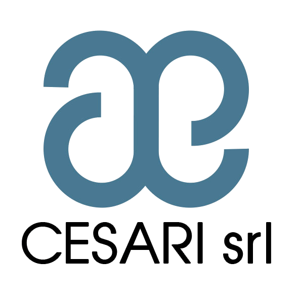 CESARI srl-LOGO