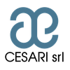 CESARI srl-LOGO