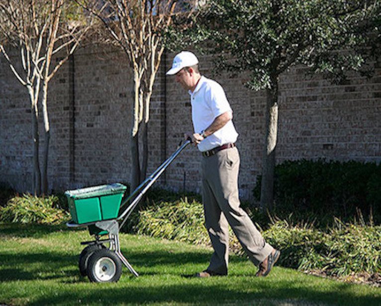 When Should a Lawn Be Fertilized? Mighty Green Lawn Care