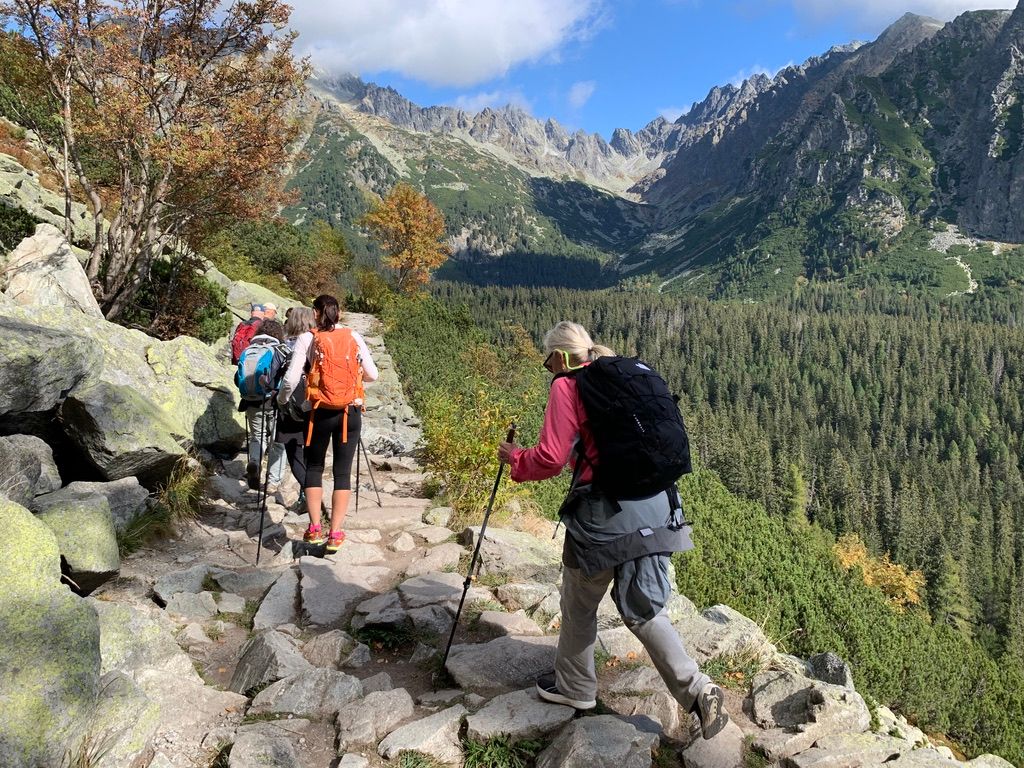 Group of hikers, some with poles, pose near a trail sign in a sunlit forest.