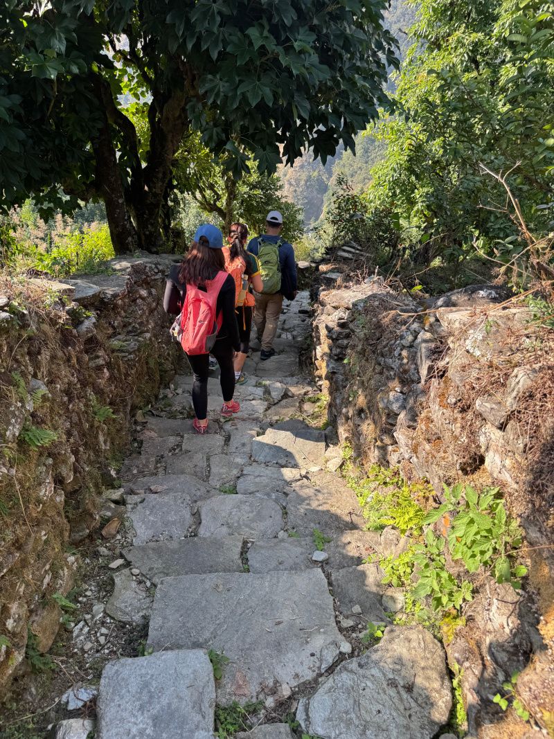 Hikers walk up stone steps on a trail through a lush, green landscape, walls on either side.
