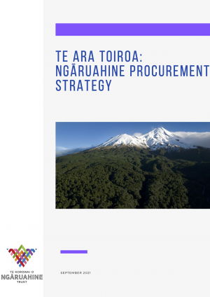 Te Ara Toiroa Strategy