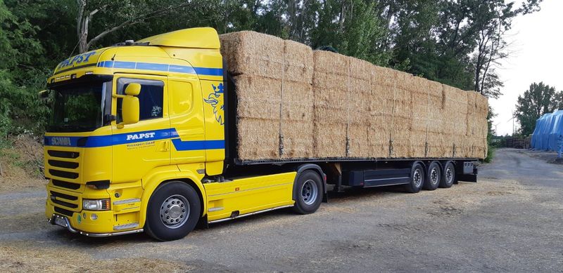 LKW mit Rungenaufbau