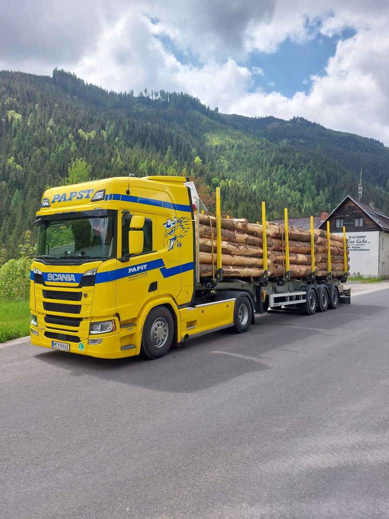 LKW mit Rungenaufbau