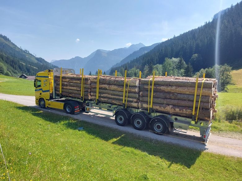LKW mit Rungenaufbau