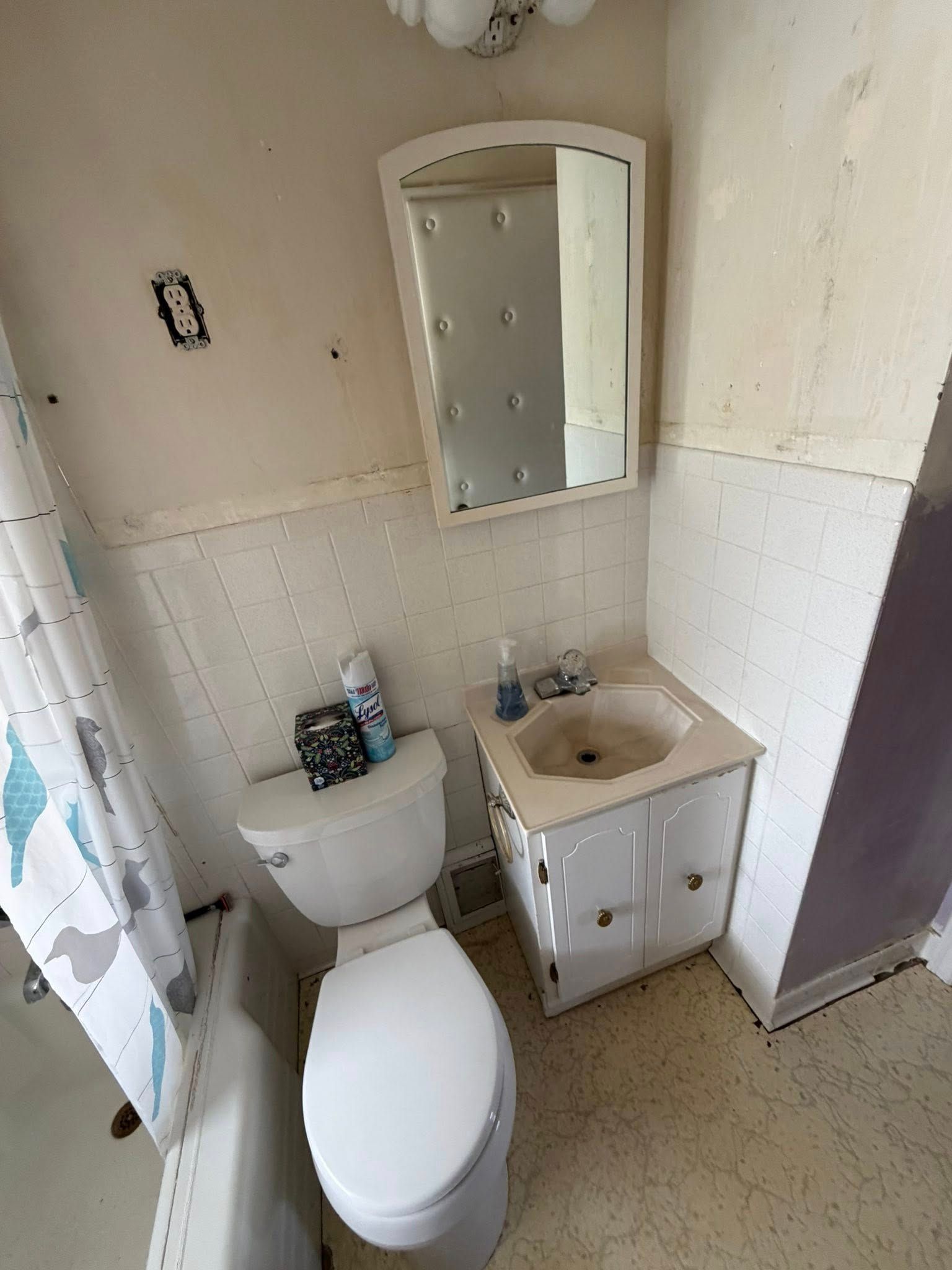 Small bathroom with toilet, sink cabinet, wall mirror, and shower curtain on the left.