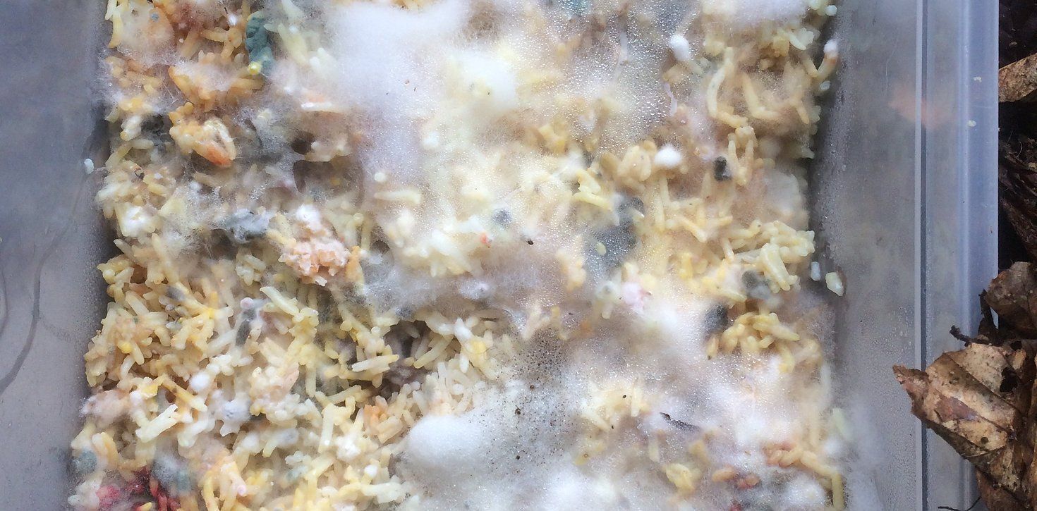 Polycompost